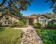1238 Willowick Circle, Safety Harbor image
