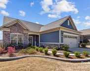 5254 Sweet Fig  Way, Fort Mill image
