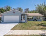 8040 Brown Pelican Avenue, New Port Richey image
