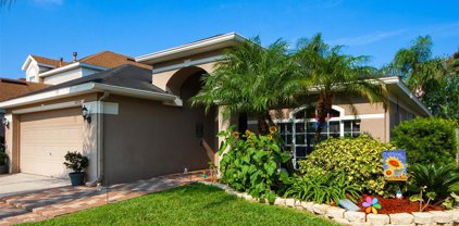 10719 Cherry Oak Circle, Orlando