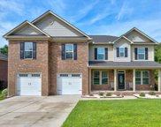 417 Preakness Lane, Elgin image