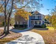 1411 Mary Ellen  Drive, Fort Mill image