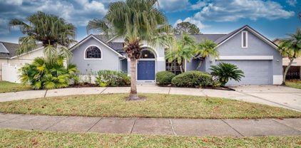 1409 Bradwell Drive, Orlando