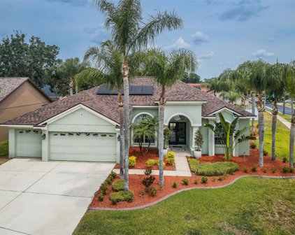 1297 Jasmine Lake Drive, Tarpon Springs