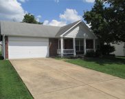 3004 Almond Tree  Drive, St Peters image