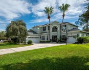 2106 Houndstooth Drive, Tampa image