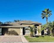2847 Oconnell Drive, Kissimmee image