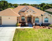 4012 Misty View Drive, Spring Hill image