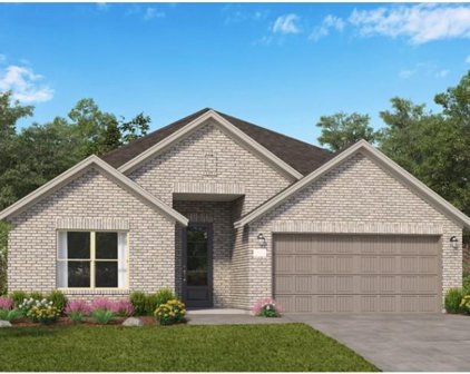 1923 Live Springs Way, Rosenberg