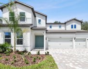 11315 Osprey Preserve Place, Riverview image