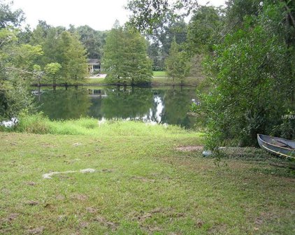 931 S Mills Avenue, Orlando