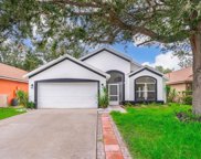 15909 Green Cove Boulevard, Clermont image