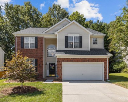17212 Cambridge Woods  Court, Charlotte