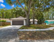2124 Colonial Boulevard W, Palm Harbor image