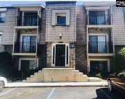 1003 Old Manor Road, Columbia image