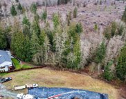 17205 Big Fir Place, Mount Vernon image