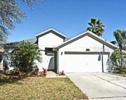 16101 Green Cove Blvd, Clermont image