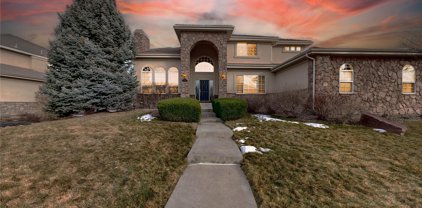 10540 Dacre Place, Lone Tree