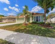 12308 Twinkling Star Place, Riverview image