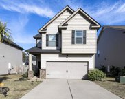 227 Bickley View Court, Chapin image