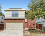 10227 Huisache Field, Helotes image