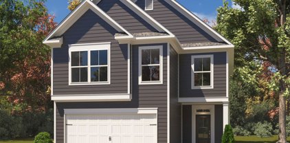 1103 Simfield Valley  Court, Matthews