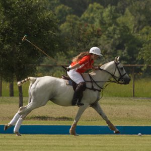 Megan playing polo 2014