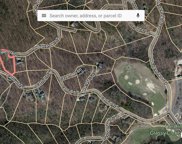 39 Witch Hazel Trail, Landrum image