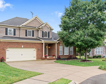 5003 Red Pepper Cv, Spring Hill