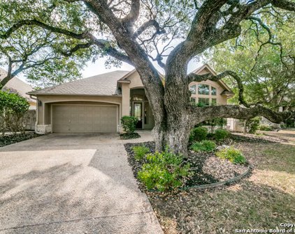 3742 River Falls, San Antonio