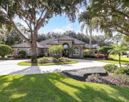 12702 Water Point Boulevard, Windermere image