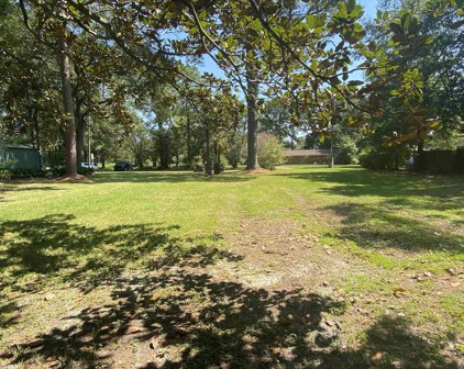 Lot 2 Farnell Lane, Mobile