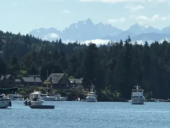 olympic mountains