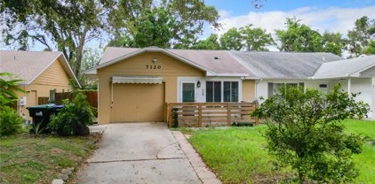 7120 Blue Earth Court, Orlando