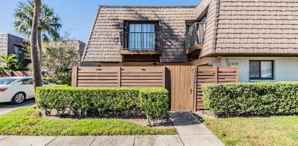 15310 E Pond Woods Drive Unit 15310, Tampa