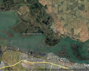 Grizzly Island Road, Suisun City image