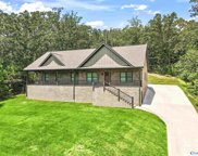 1912 Lookout Mountain Drive, Scottsboro image