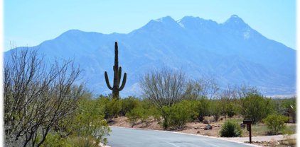 232 N Palomino Run, Sahuarita