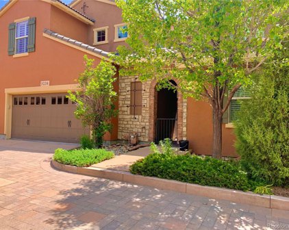 9238 Viaggio Way, Highlands Ranch