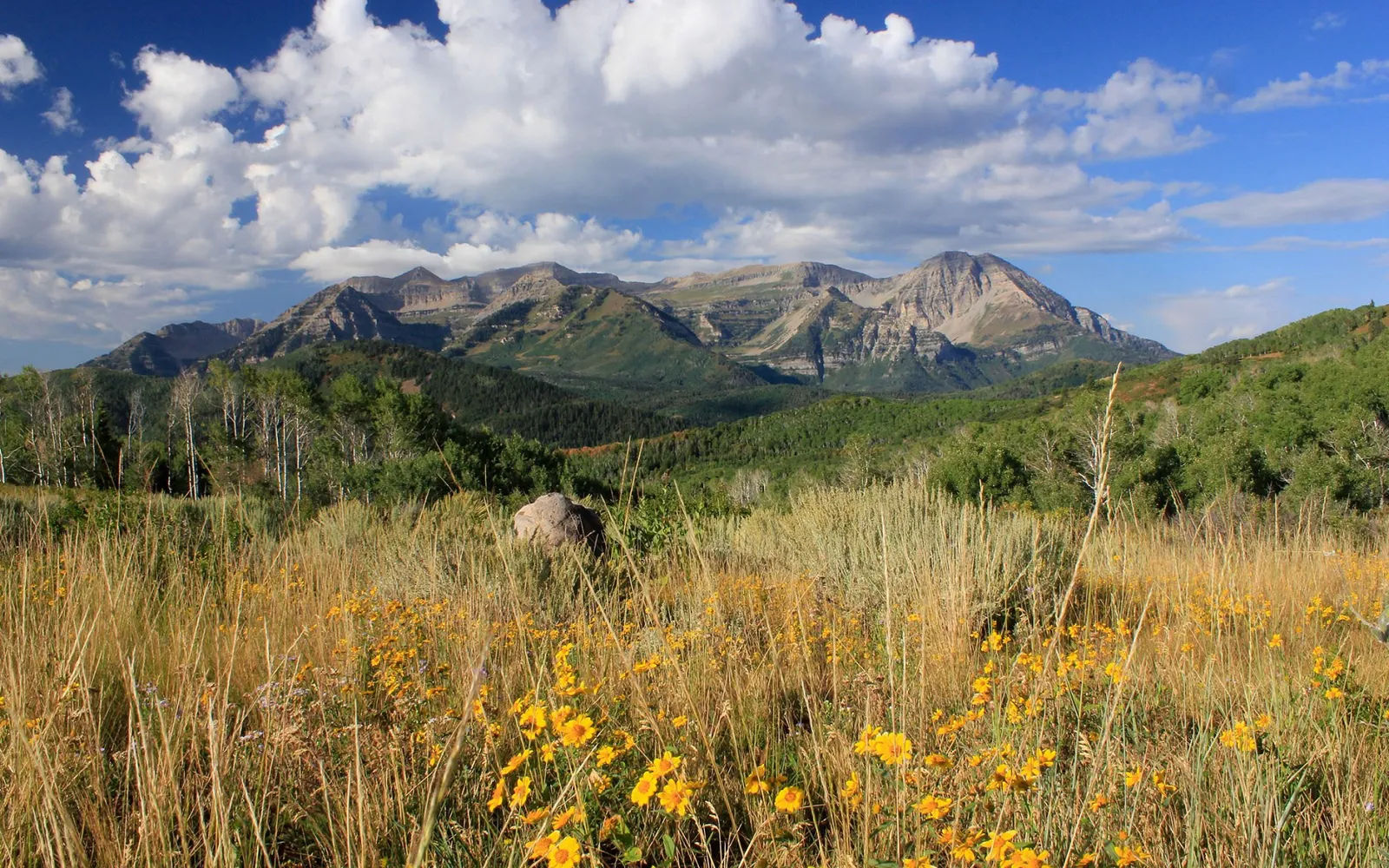 Red Ledges Real Estate