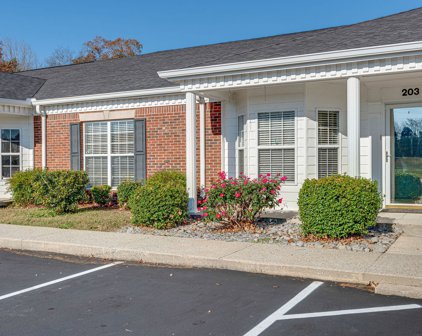 3010 Caldwell Rd Unit #203, Ashland City