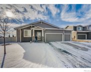 3981 River Birch Street, Wellington image