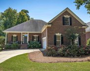 20 Hilton Glen Court, Chapin image