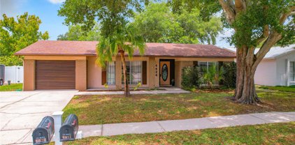 6624 Reef Cir, Tampa