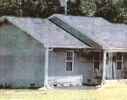 310 Harrison Ferry ROAD, Baneberry image