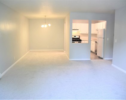 11160 Anderson Lakes Parkway Unit #203, Eden Prairie