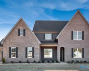 105 Tanager Trace, Madison image