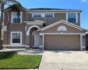 10720 Shady Preserve Drive, Riverview image