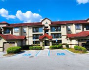 4201 Woodstorks Walk Way Unit 3207, Lutz image