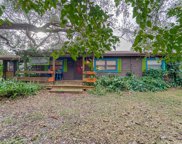 6308 Mosswood Drive, Seffner image